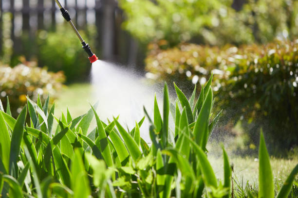 24/7 Emergency Cockroach Control experts in New Haven, MO