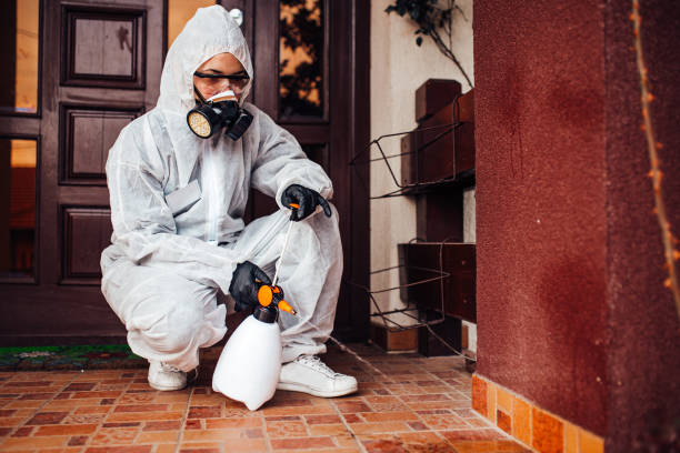 Reliable Cockroach Control contractor in New Haven, MO by Nex Pest Control
